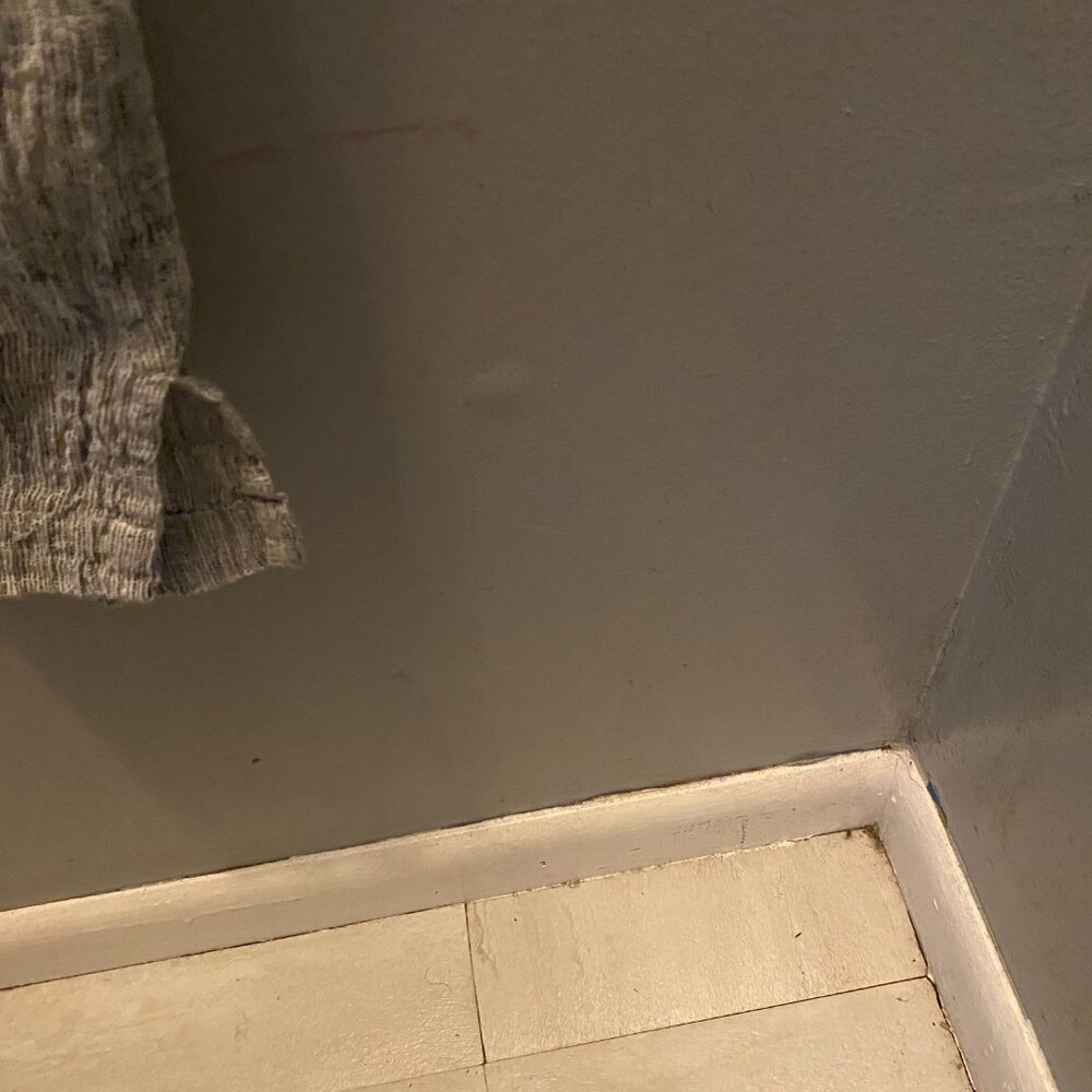 Ladies Dress - Picture 5 of 5